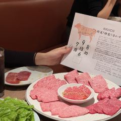 Nikuichi User Photo