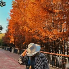 在咖啡INCOFFEE(融侨外滩壹号店) User Photo