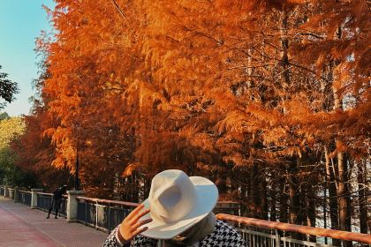 在咖啡INCOFFEE(融侨外滩壹号店)