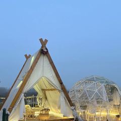 猫台咖啡 User Photo