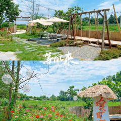 清野小院·私人订制田园餐厅(大邑店) User Photo