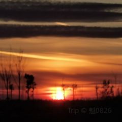 田金杂碎店 User Photo