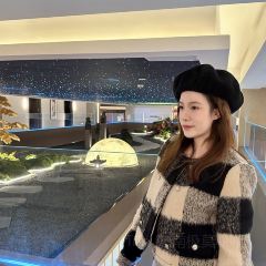 晓秧锅鲜货火锅·重庆老字号(水韵滨江店) User Photo