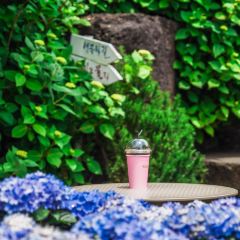 Manor Blanc User Photo