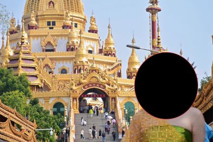 芒市天然活螃蟹