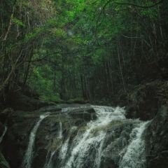 知青小镇 User Photo