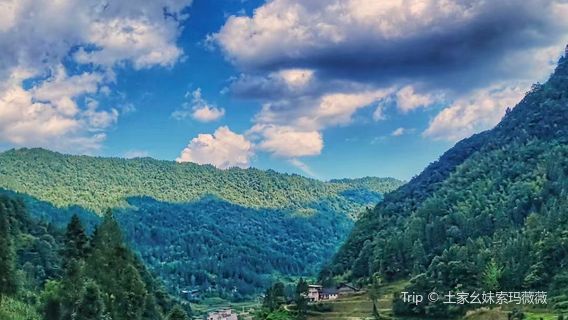 tu jia diao jiao lou gu cun