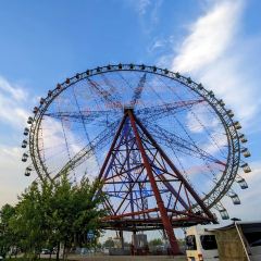 德洛克西餐廳張用戶圖片