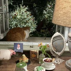 Cooperland User Photo