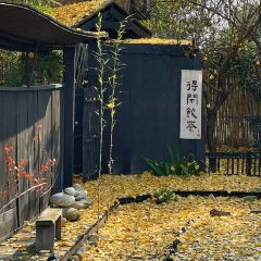 误会·庭院 User Photo