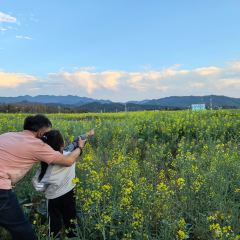 粤秀古树庄园 User Photo