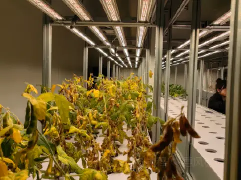 Beidahuang Jiansanjiang National Agricultural Science and Technology Park