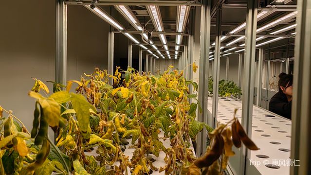 Beidahuang Jiansanjiang National Agricultural Science and Technology Park