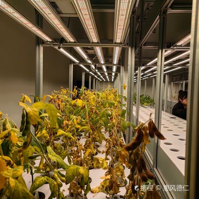 Beidahuang Jiansanjiang National Agricultural Science and Technology Park