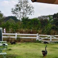 Elely Cafe’ แอลลี่ คาเฟ่張用戶圖片