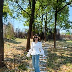 树野融合餐厅 User Photo