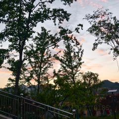 王阿盖手工小吃(开化店) User Photo