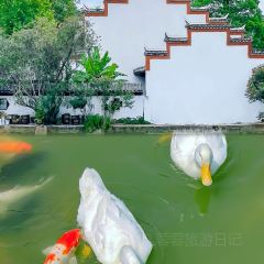 LAO MIN TIAN LUO GUAN User Photo