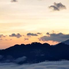 SA MA BA 여행 사진