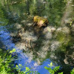 毕棚沟娜姆湖度假酒店·风味餐厅 User Photo