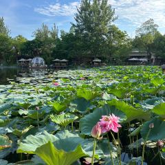 玛歌庄园·白鹤湖火锅公园(武胜店) User Photo