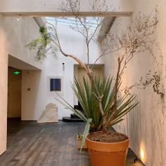 七栩钟楼·蚌壳餐厅 User Photo
