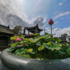 浴柳排骨蒸饺(五一街店) User Photo