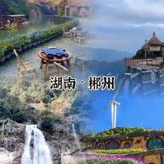 公园和尚豆干面 User Photo