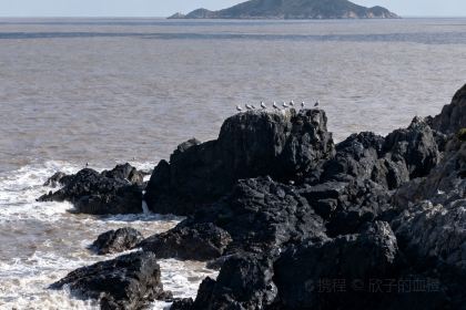 XIAO MI FENG MEI SHI