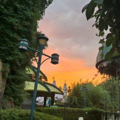 SUN JIA LONG XIA User Photo