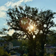 树蛙部落(仙女湖店)·餐厅 User Photo