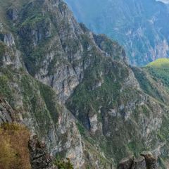 Zhan yi gong shi la zi Chicken (zhan yi) User Photo