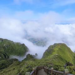 Zhan yi gong shi la zi Chicken (zhan yi) User Photo