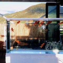 屋顶咖啡·日落甜茶·雪山花园 ·bistro User Photo