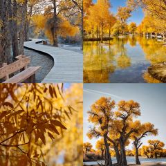 党氏卷子鸡(南关店) User Photo