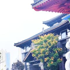 老常德钵子菜馆(河街店) User Photo