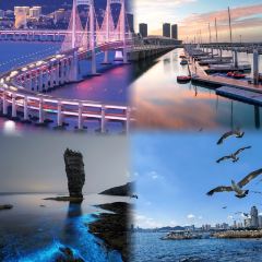 ROYAL OCEAN User Photo