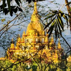 盈黎手抓饭(芒市店) User Photo