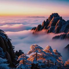 秀嫂挞粿 User Photo