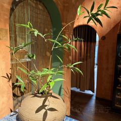 Mặn Mòi - Tao Đàn User Photo