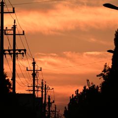 常相聚食府(桥东街店) User Photo