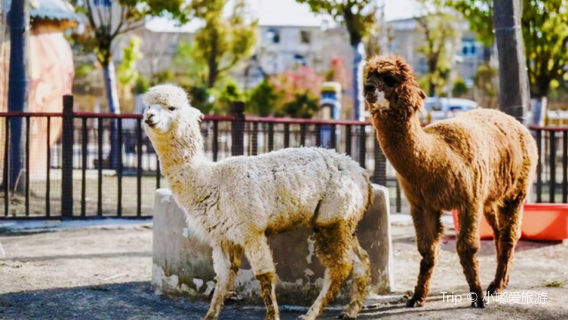 Fuyang Wildlife Park