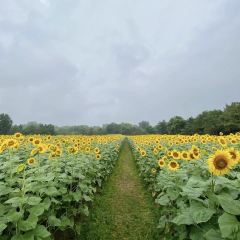 人民公社(神农北路店) User Photo