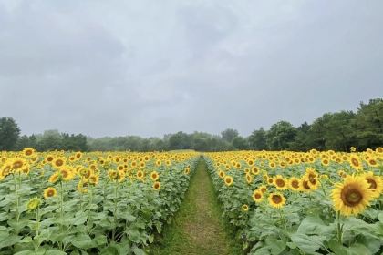 人民公社(神农北路店)