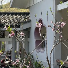 愛晚亭湖鮮食府張用戶圖片