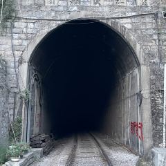 羌英罐罐茶(电厂路综合市场店) User Photo