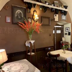 Mandragora User Photo
