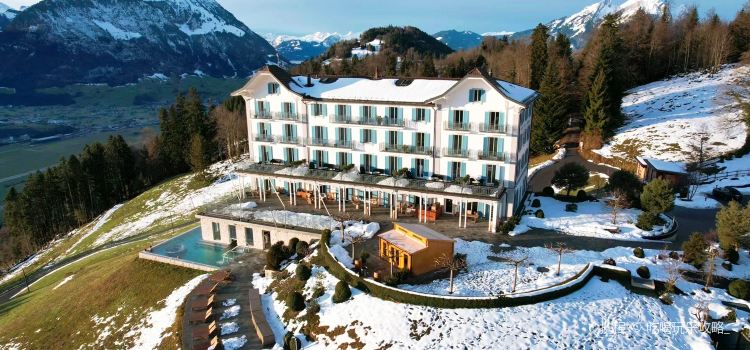 Hotel Villa Honegg