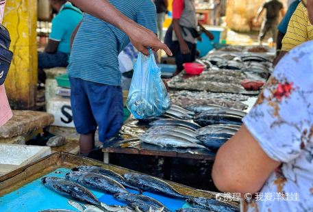 Negombo Central Fish Market