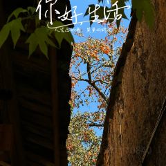 小巷人家 여행 사진